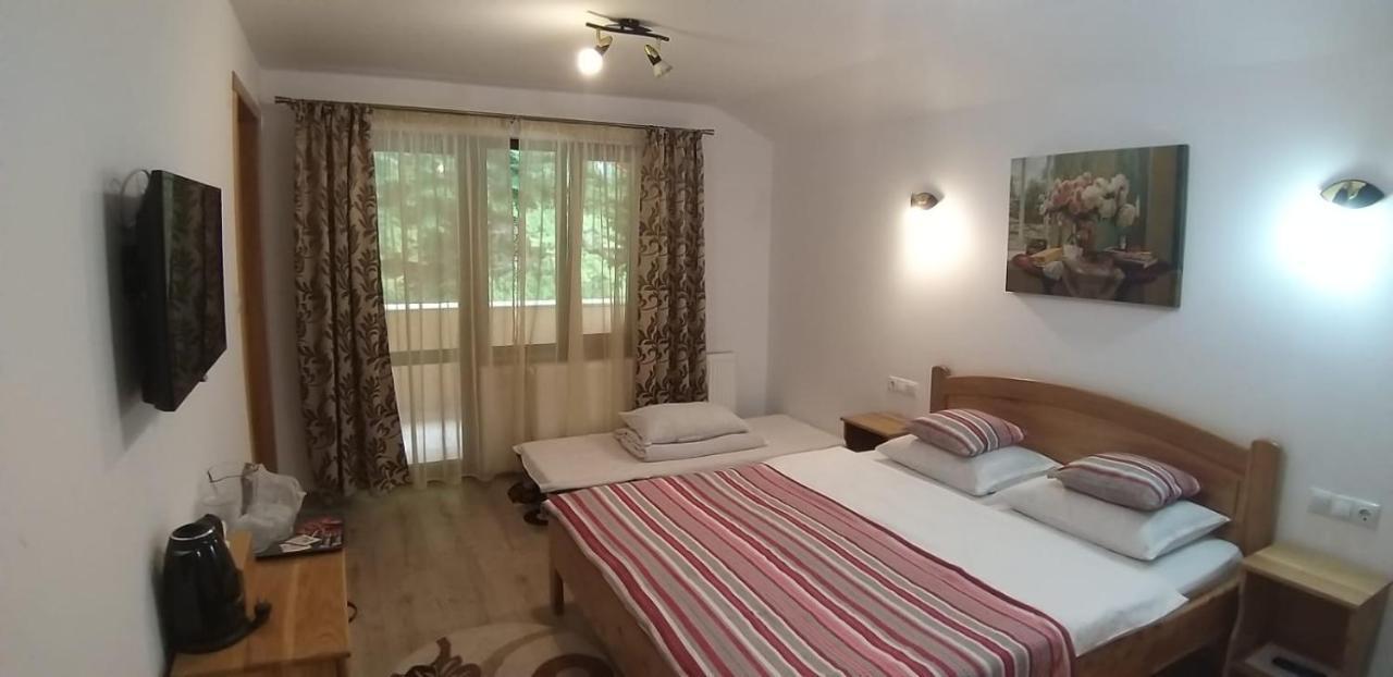 Casa Andra Ξενοδοχείο Slănic-Moldova Εξωτερικό φωτογραφία