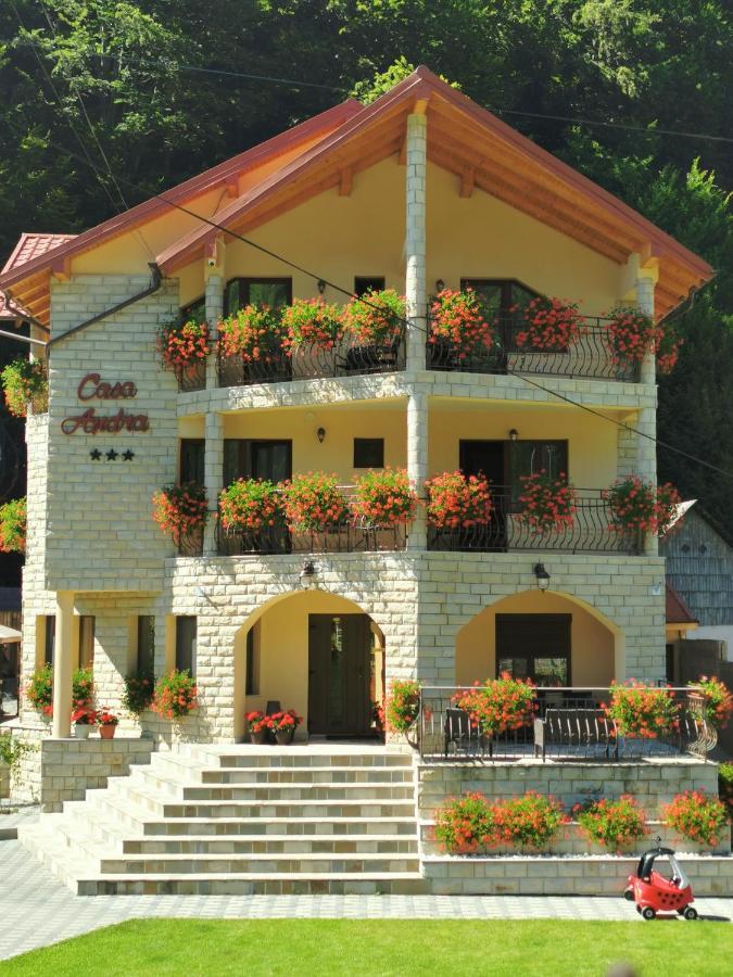 Casa Andra Ξενοδοχείο Slănic-Moldova Εξωτερικό φωτογραφία